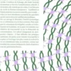 La copossession du monde. Vers la fin de l’ordre propriétaire, Edition, Pierre Crétois