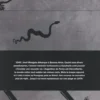 La disparition de Josef Mengele, Olivier Guez