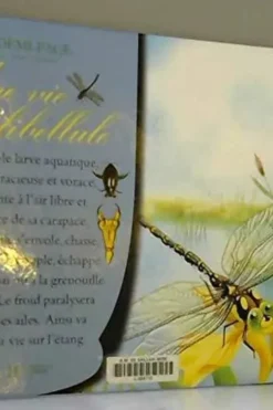 LA LIBELLULE ET L'ETANG, Collectif