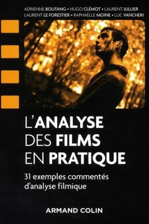 L'analyse des films en pratique. 31 exemples commentés d'analyse filmique, Adrienne Boutang