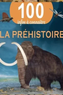 La Préhistoire, Piccolia