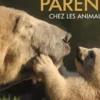 L'art d'être parent chez les animaux, Vincent Albouy