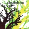 Le baobab fou, Ken Bugul