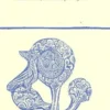 Le débat sur le Roman de la Rose, Christine de Pizan