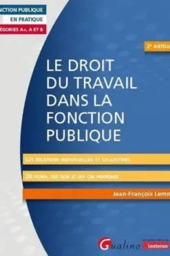 Le droit du travail dans la fonction publique. Les relations individuelles et collectives - 28 fiches, des QCM et des cas pratiques, 2e édition, Jean-François Lemmet