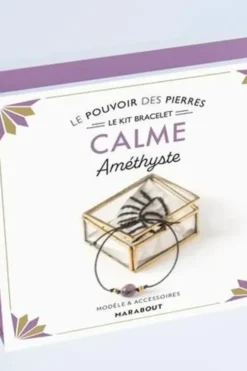 Le kit bracelet Calme. Améthyste. Avec 1 perle ronde, 2 petites perles dorées, 70 cm de coton ciré, 1 livre d'explications, Françoise Vauzeilles