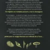 Le monde caché. Comment les champignons façonnent notre monde et influencent nos vies, Merlin Sheldrake