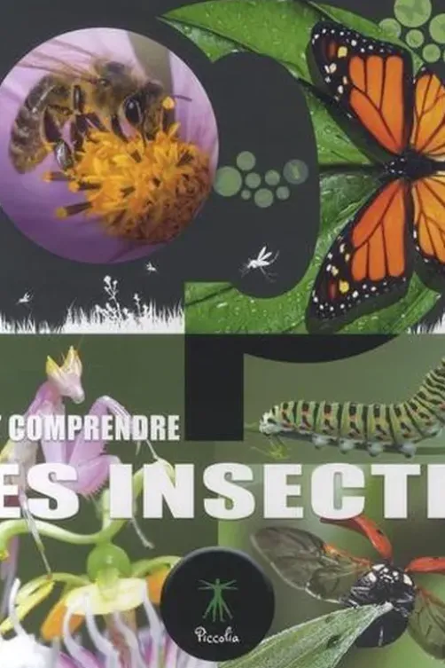 Le monde des insectes, Piccolia