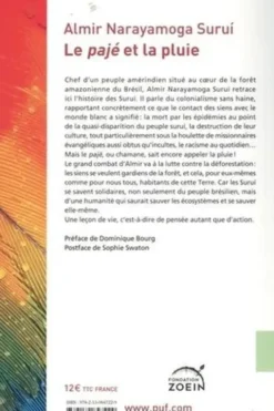 Le pajé et la pluie, Almir Narayamoga Surui
