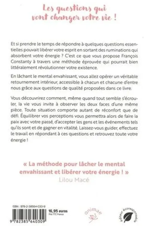 Le retournement intérieur. Les questions essentielles à se poser quand le mental devient envahissant, François Constanty