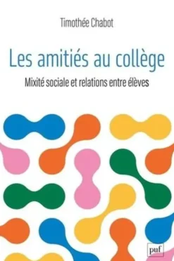 Les amitiés au collège. Mixité sociale et relations entre élèves, Timothée Chabot