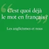 Les anglicismes et nous. C'est quoi déjà le mot en français ?, Michel Feltin-Palas