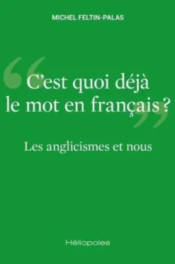 Les anglicismes et nous. C'est quoi déjà le mot en français ?, Michel Feltin-Palas