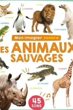 Les animaux sauvages, 1, 2, 3 soleil !