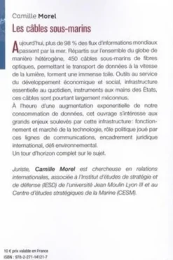 Les câbles sous-marins. Enjeux et perspectives au XXIe siècle, Camille Morel