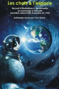 Les chats & l'espace, Yann Quero