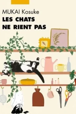 Les chats ne rient pas, Kosuke Mukai