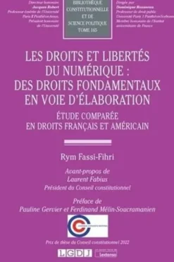 Les droits et libertés du numérique : des droits fondamentaux en voie d’élaboration. Etude comparée en droits français et américain, Rym Fassi-Fihri
