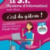 Le S.I. (Système d'information) avec Alice... c'est du gâteau ! Une méthode simple et efficace pour tous !, Gwenaëlle Lairet