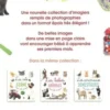Les premiers mots, Langue au chat