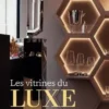Les vitrines du luxe. Une histoire culturelle du commerce haut de gamme et de ses espaces de vente, Elodie de Boissieu