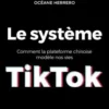 Le système TikTok. Comment la plateforme chinoise modèle nos vies, Océane Herrero