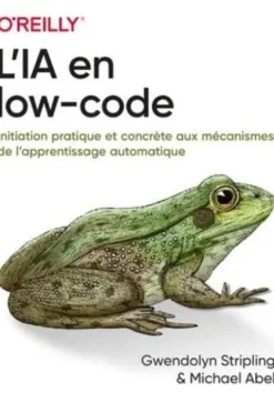 L'IA en low-code, Michael Abel