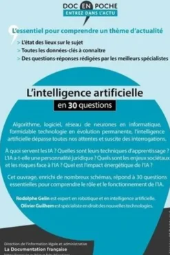 L'intelligence artificielle en 30 questions, Rodolphe Gelin