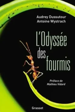 L'Odyssée des fourmis, Audrey Dussutour