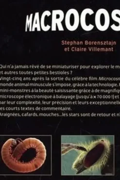 Macrocosmos, Stephan Borensztajn
