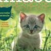 Miaou N° 20, José Fonollosa