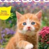 Miaou N° 21, septembre-novembre 2022, Isabelle Collin