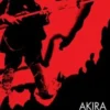 Mourir pour la patrie. Shinichi Higa, soldat de deuxième classe de l'armée impériale, Akira Yoshimura