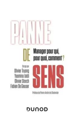 Panne de sens. Manager pour qui, pour quoi, comment ?, Olivier Truong