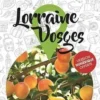 Petit Futé Lorraine Vosges. Edition 2021-2022