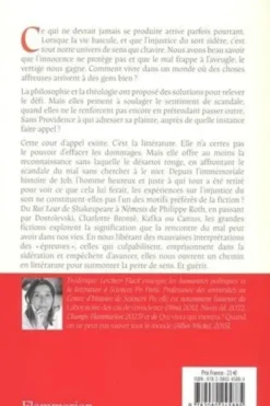 Pourquoi le mal frappe les gens bien ? La littérature face au scandale du mal, Frédérique Leichter-Flack