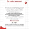 Quel chic chien ! La méthode infaillible pour bien dresser son chiot pour toute la famille !, Steve Mann