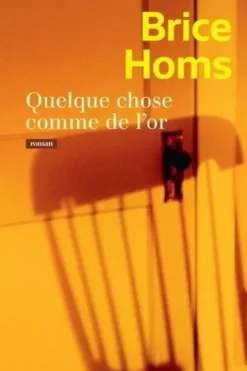 Quelque chose comme de l'or, Brice Homs