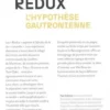 Redux. (L'hypothèse gautronienne), Paul Ardenne