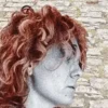 Ruth et ses chemins, Lluis-Anton Baulenas