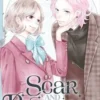 Scar and Romance Tome 2, Rin Mikimoto