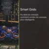 Smart Grids. Au-delà du concept, comment rendre les réseaux plus intelligents, Gilles Guerassimoff