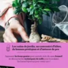 Soins & culture du bonsaï, Fiona Hopes
