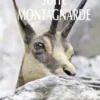 Suite montagnarde, Jean Proal