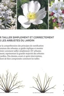 Tailler facilement tous les arbustes d'ornement, Pascal Prieur