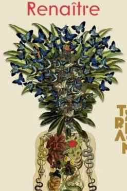 Terrain N° 66, automne 2016 : Renaître, Vanessa Manceron