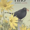 Tino, un merle au jardin, Nicolas Jolivot