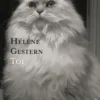 Toi, Hélène Gestern