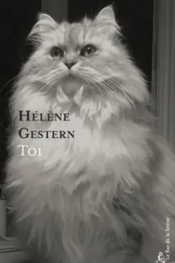 Toi, Hélène Gestern