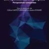 Un droit de l'intelligence artificielle. Entre règles sectorielles et régime général - Perspectives comparées, Céline Castets-Renard
